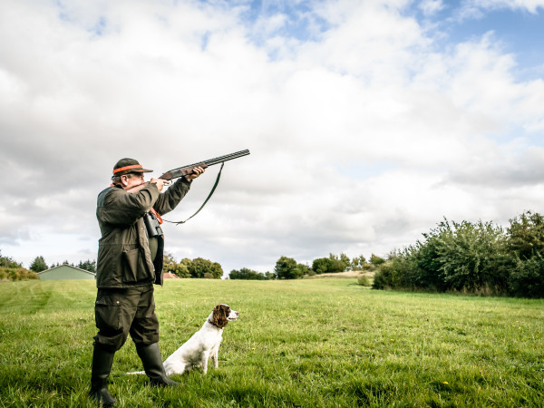 gun-dog-insurance