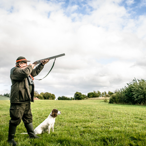 gun-dog-insurance