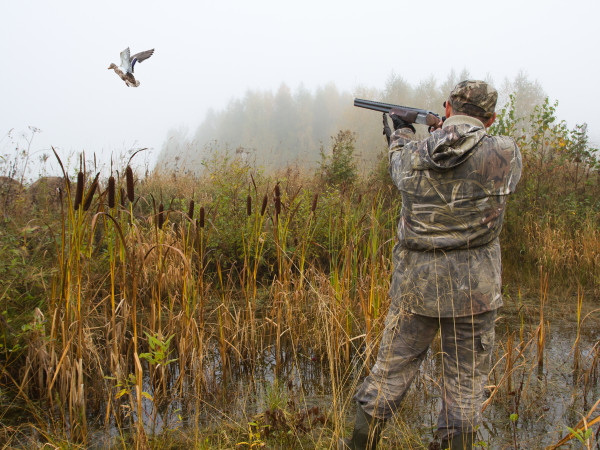 hunting-wildfowling