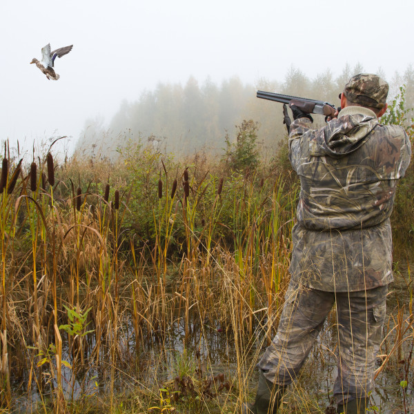hunting-wildfowling