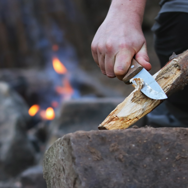 Bushcraft 2